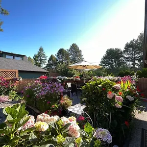 Garden In -beautiful In Victoria